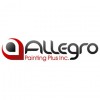 Allegro Painting Plus