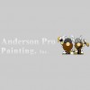 Anderson Pro Painting