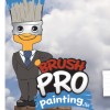 Brush Pro Painting